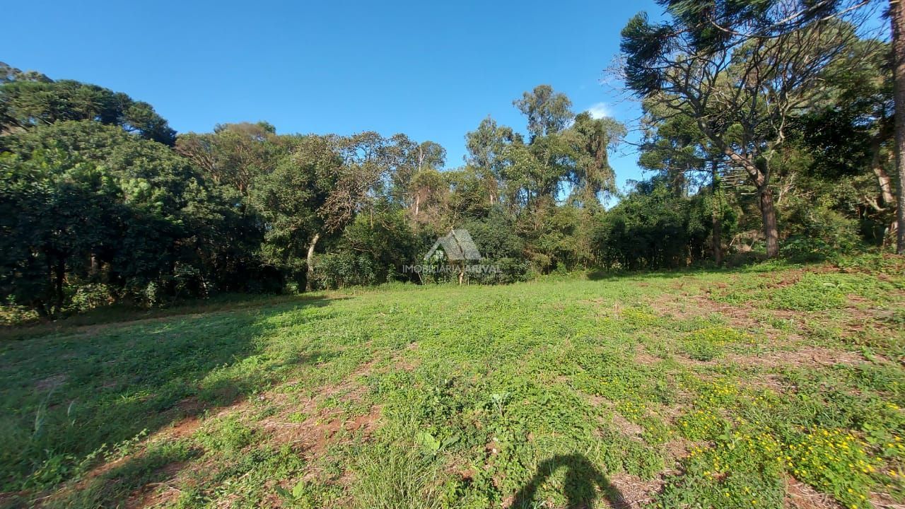 Lote/Terreno Comercial de 42800m² no bairro Centro (Marechal Bormann), em Chapecó | Eu Corretor