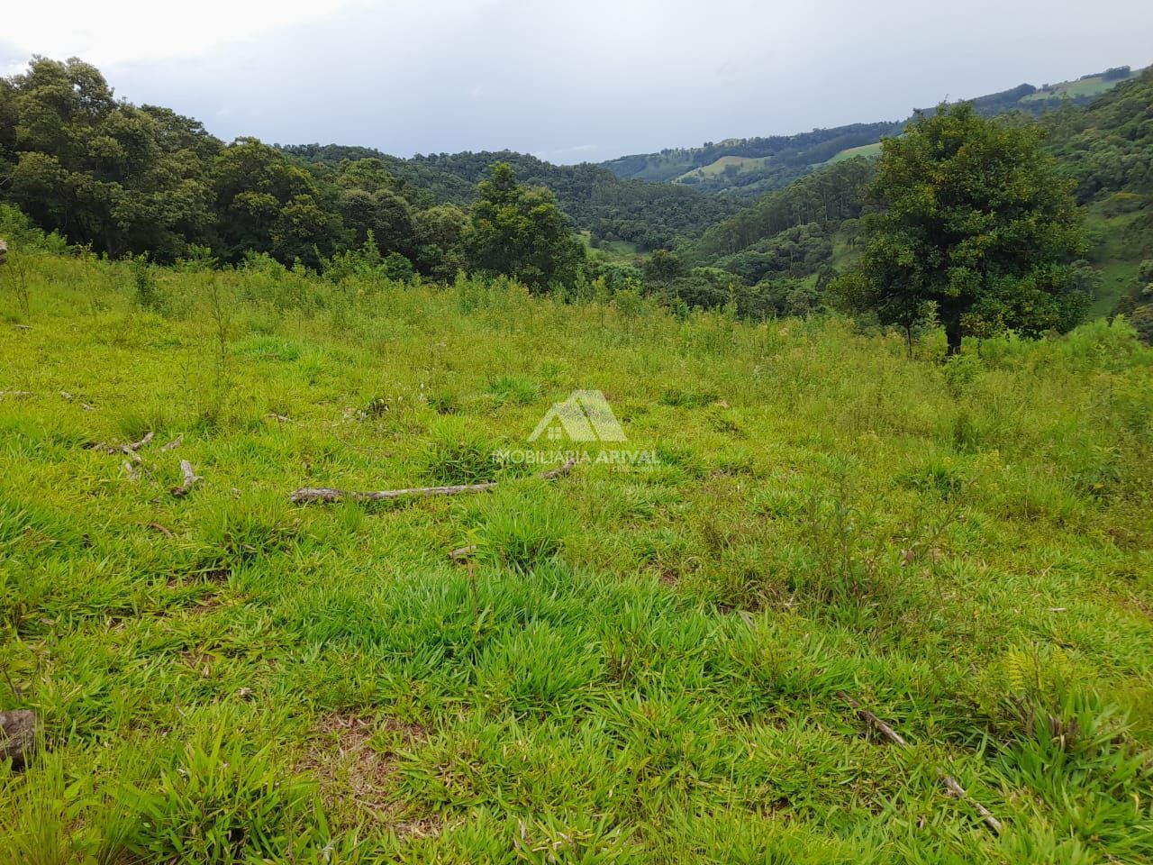 Lote/Terreno Comercial de 145000m² no bairro Zona Rural, em Cordilheira Alta | Eu Corretor