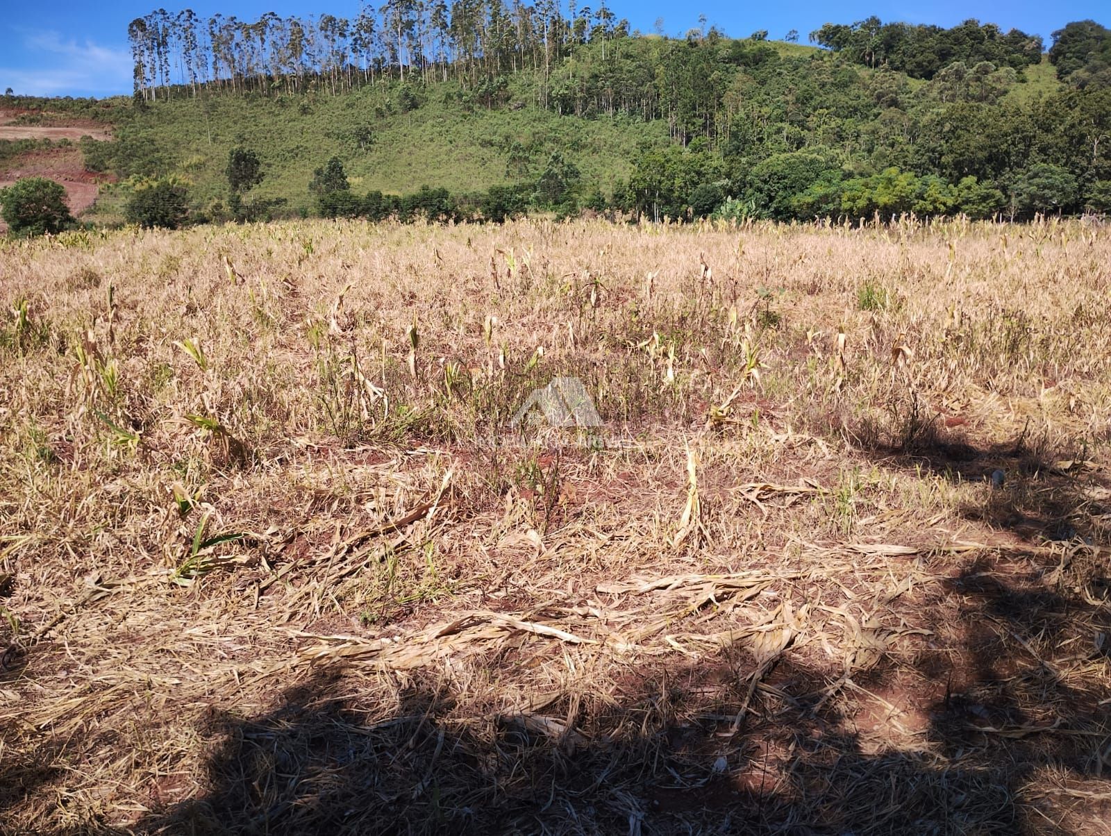 Lote/Terreno Comercial de 95000m² no bairro Zona Rural, em Seara | Eu Corretor