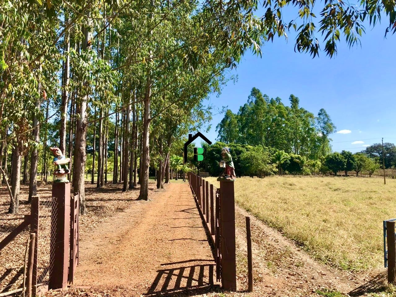 Fazenda à venda com 4 quartos, 2m² - Foto 3