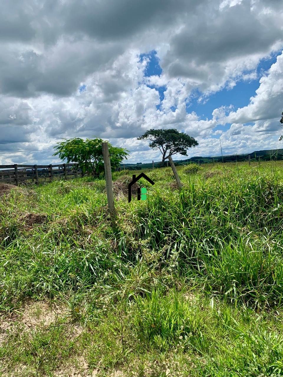 Fazenda à venda com 2 quartos, 830000m² - Foto 4