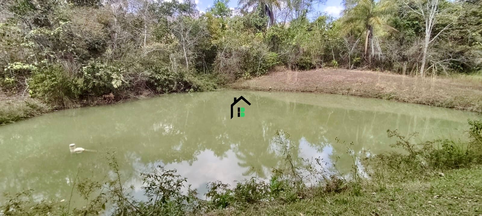 Fazenda à venda com 3 quartos, 3m² - Foto 12