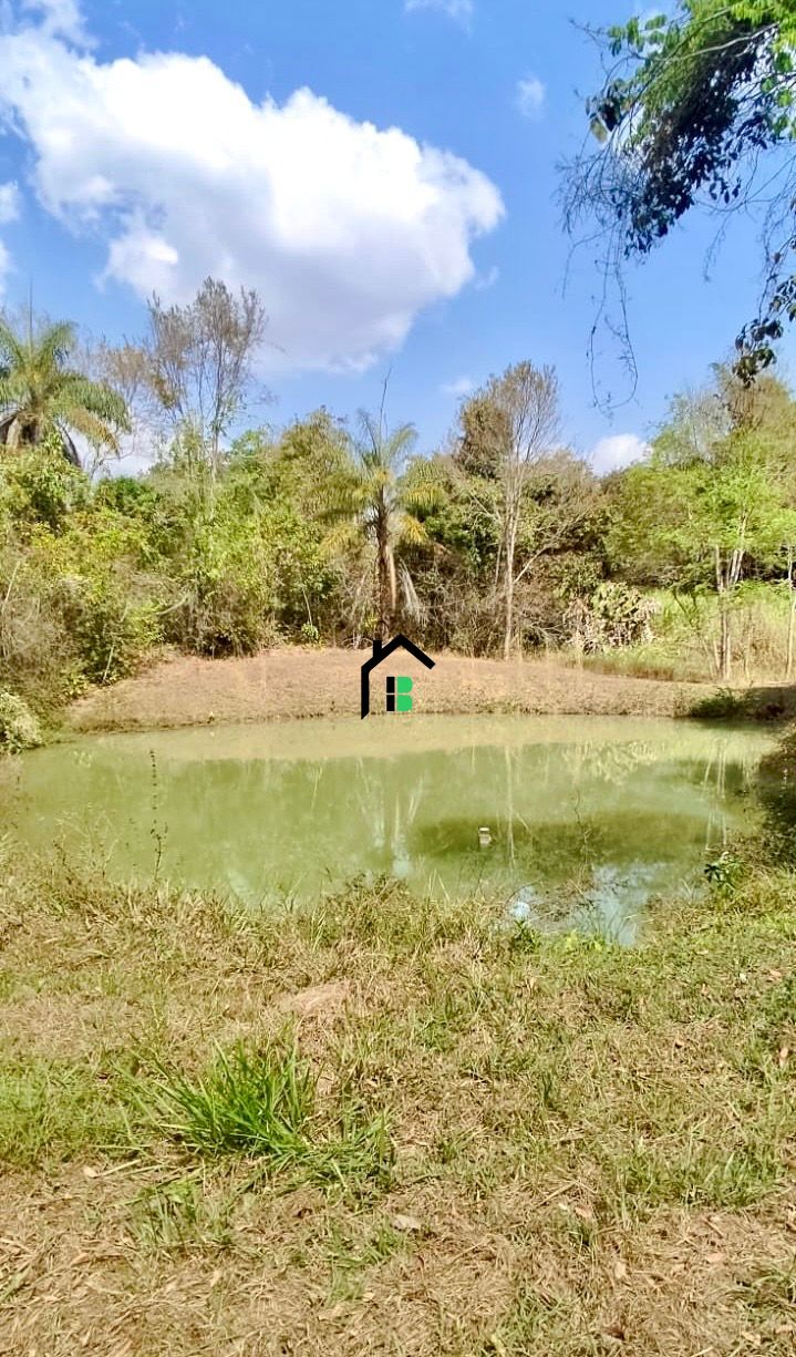 Fazenda à venda com 3 quartos, 3m² - Foto 9