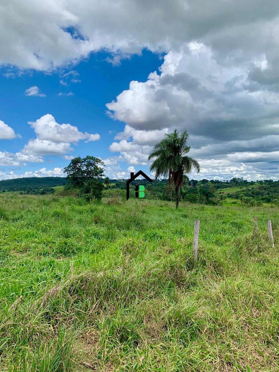 Fazenda à venda com 2 quartos, 830000m² - Foto 3