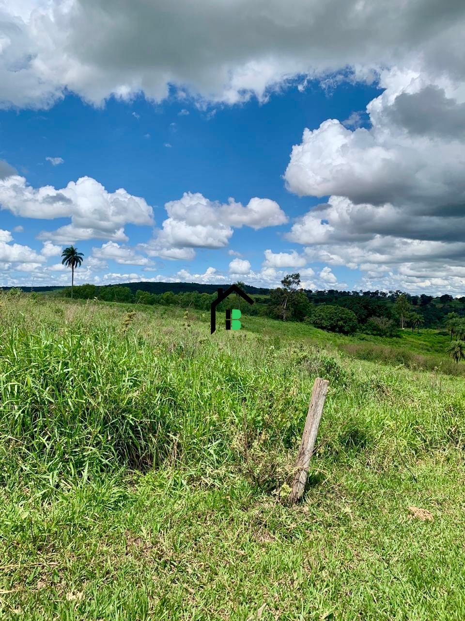 Fazenda à venda com 2 quartos, 830000m² - Foto 5