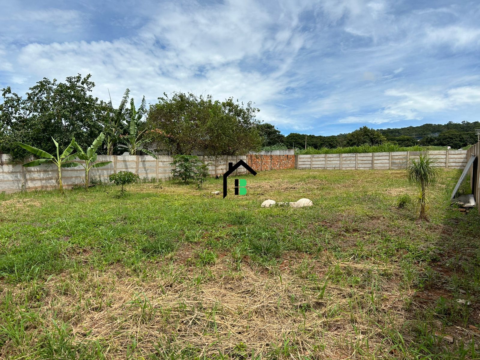 Fazenda à venda, 1000m² - Foto 5