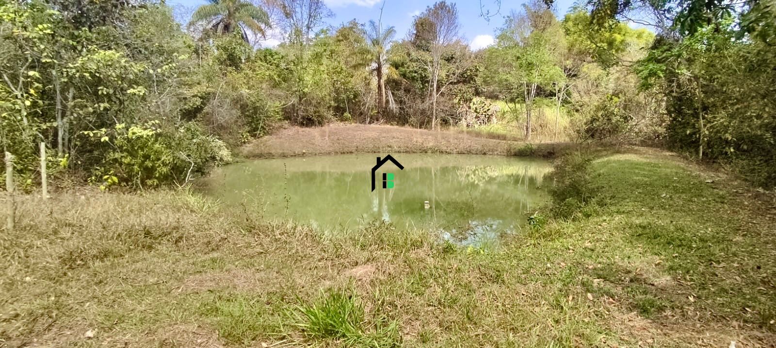 Fazenda à venda com 3 quartos, 3m² - Foto 11