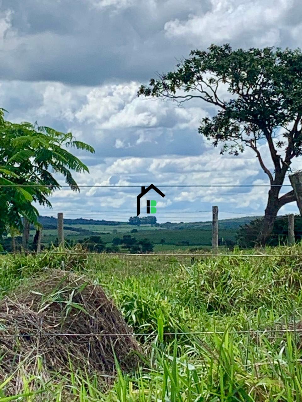 Fazenda à venda com 2 quartos, 830000m² - Foto 6