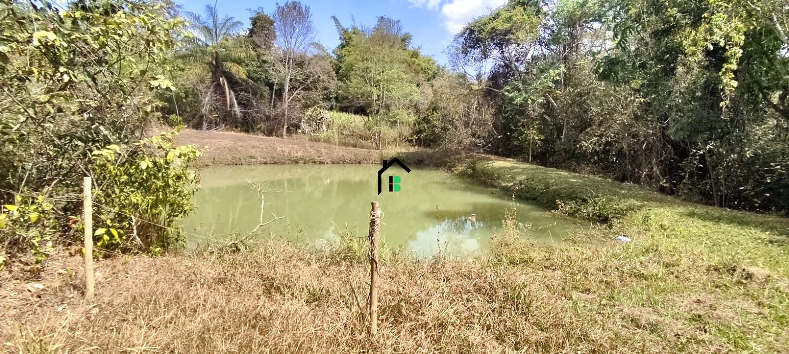 Fazenda à venda com 3 quartos, 3m² - Foto 10