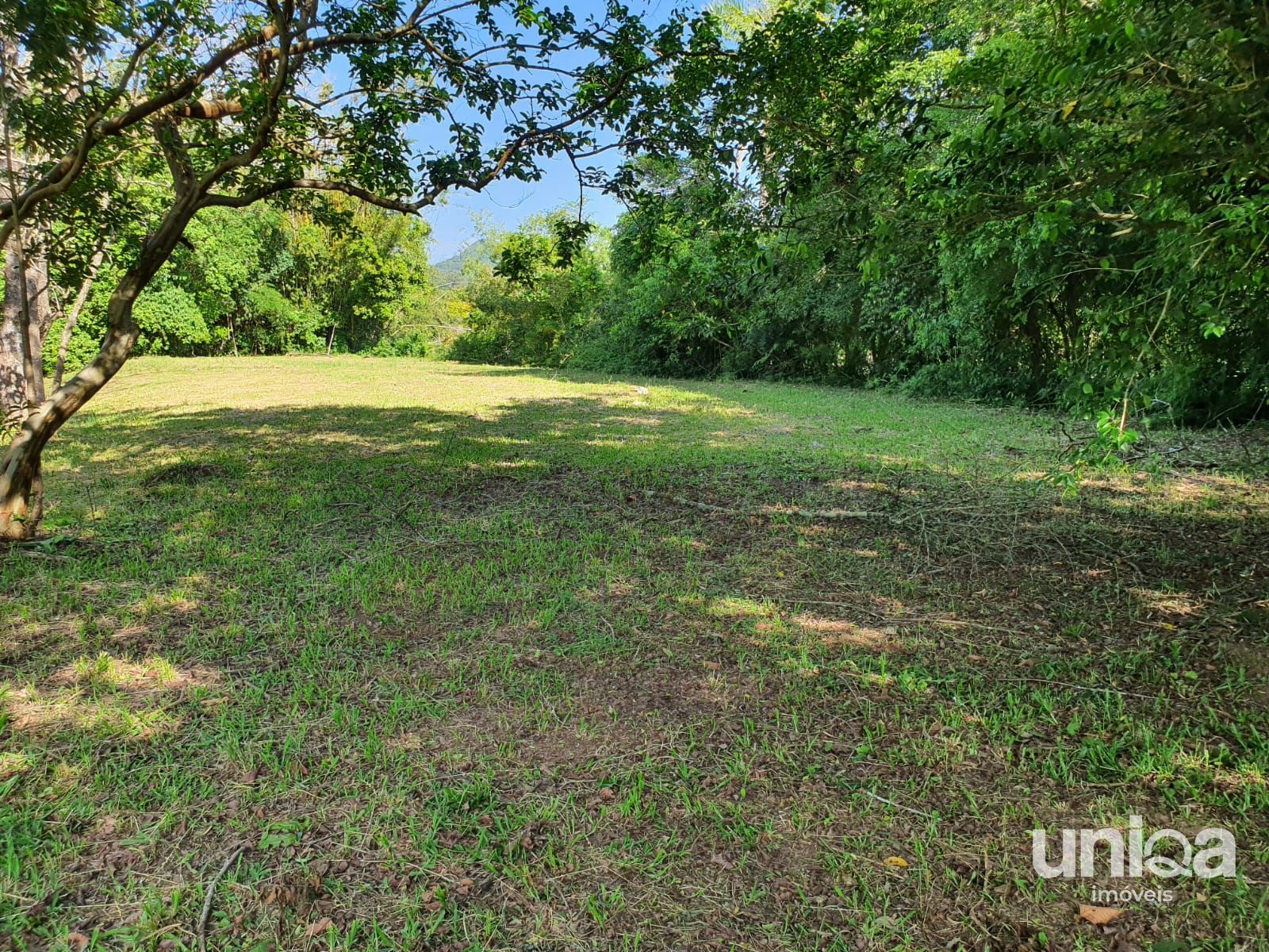 Chácara 23,7ha em Três Barras com divisa para o Rio Arroio Grande para venda - foto 9
