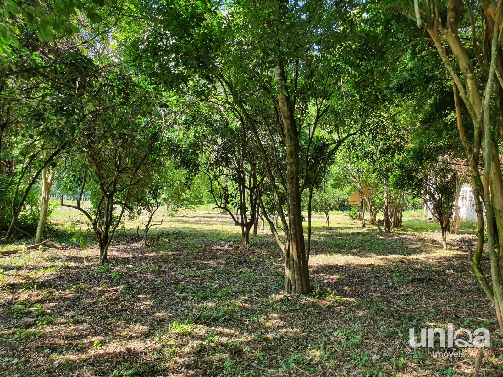 Chácara 23,7ha em Três Barras com divisa para o Rio Arroio Grande para venda