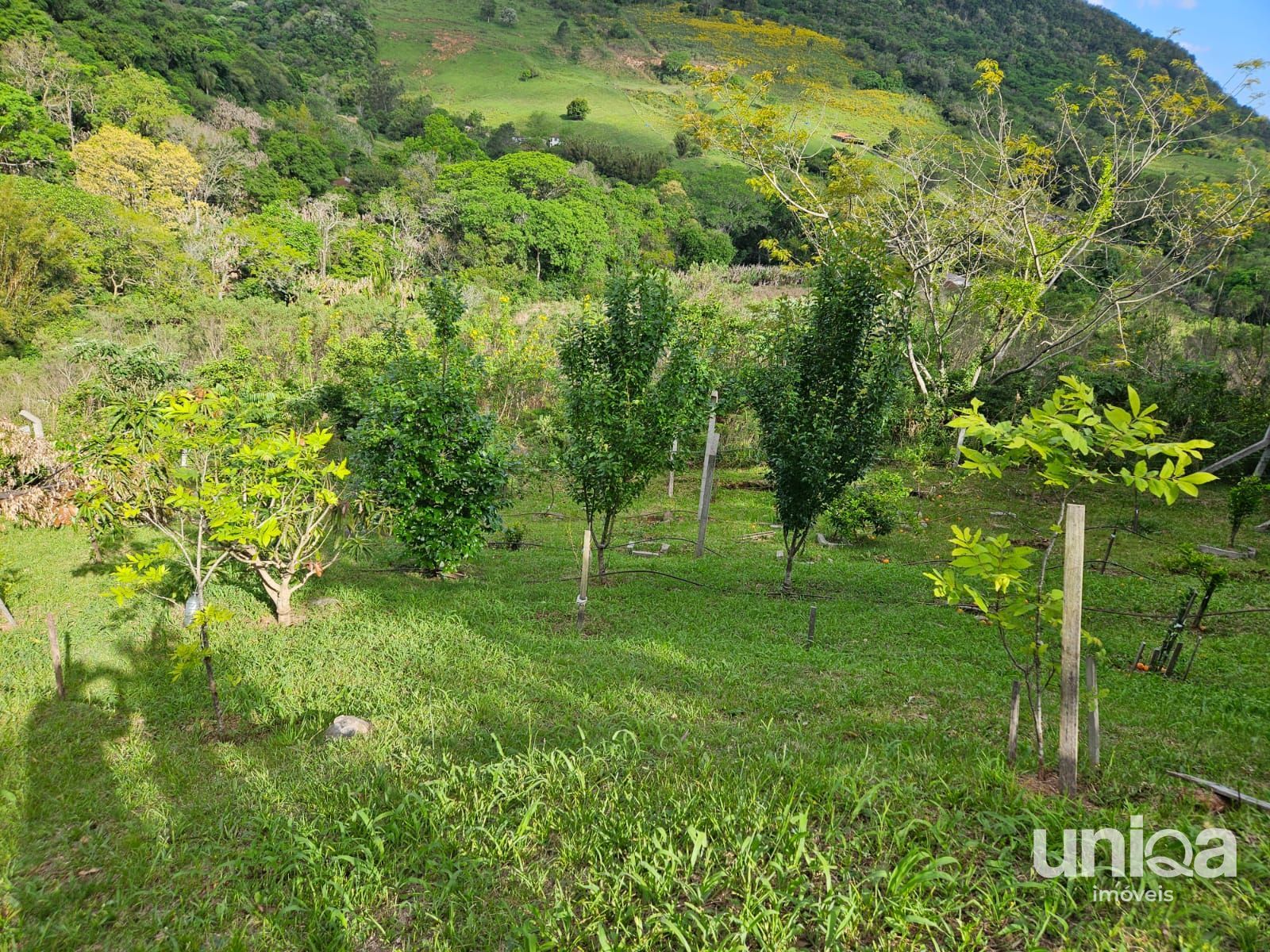 Chácara 2ha escriturada com casa riacho na estrada do radar em Silveira Martins
