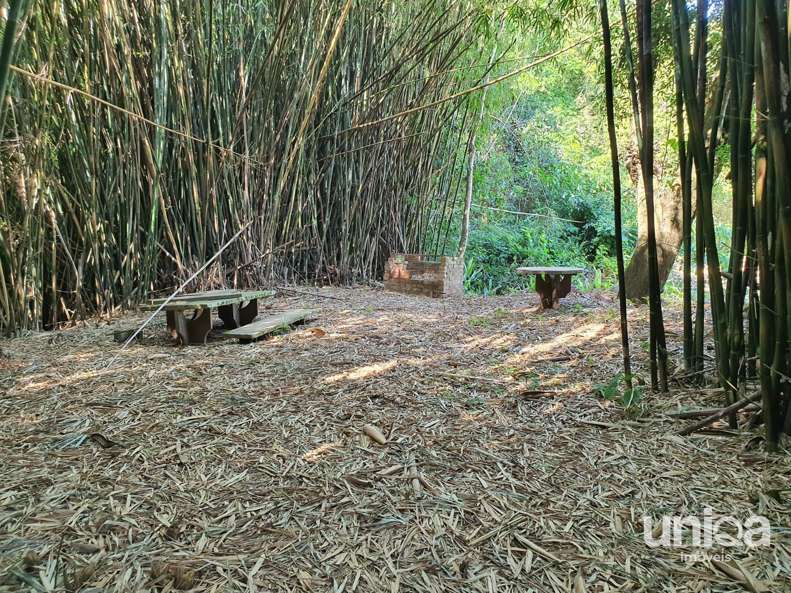 Chácara 23,7ha em Três Barras com divisa para o Rio Arroio Grande para venda - foto 7