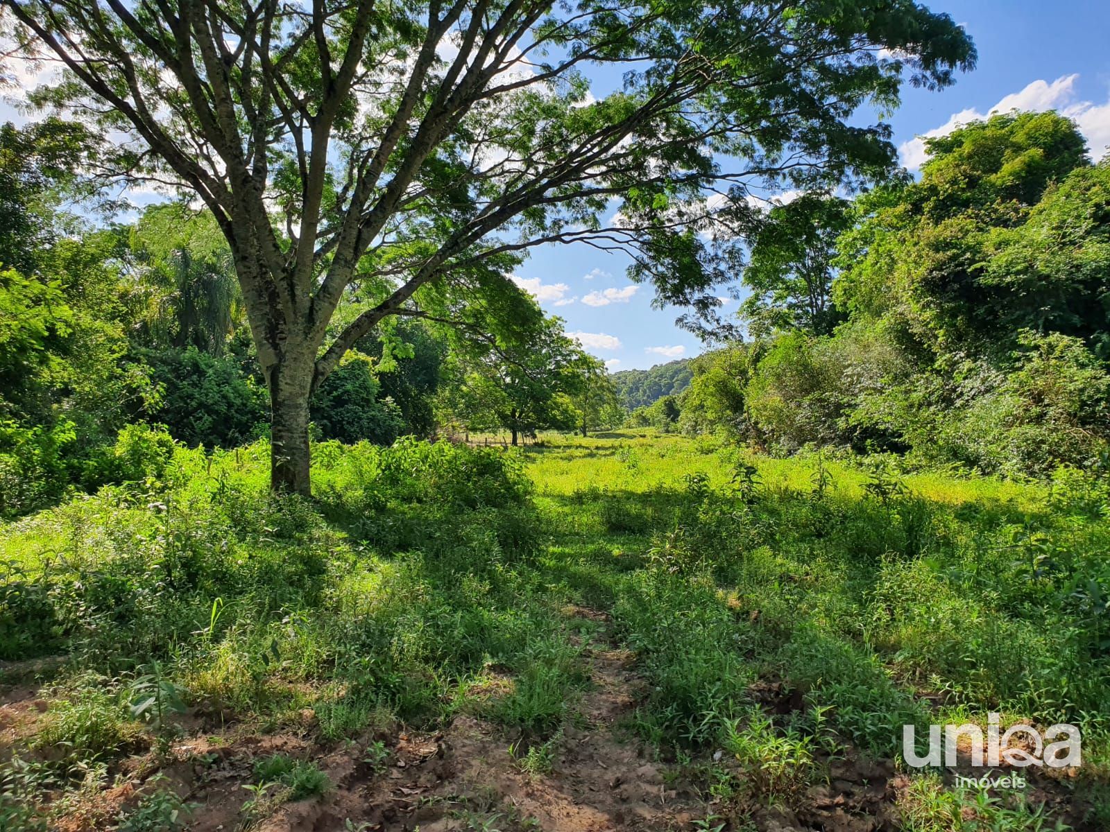 Chácara 23,7ha em Três Barras com divisa para o Rio Arroio Grande para venda - foto 12