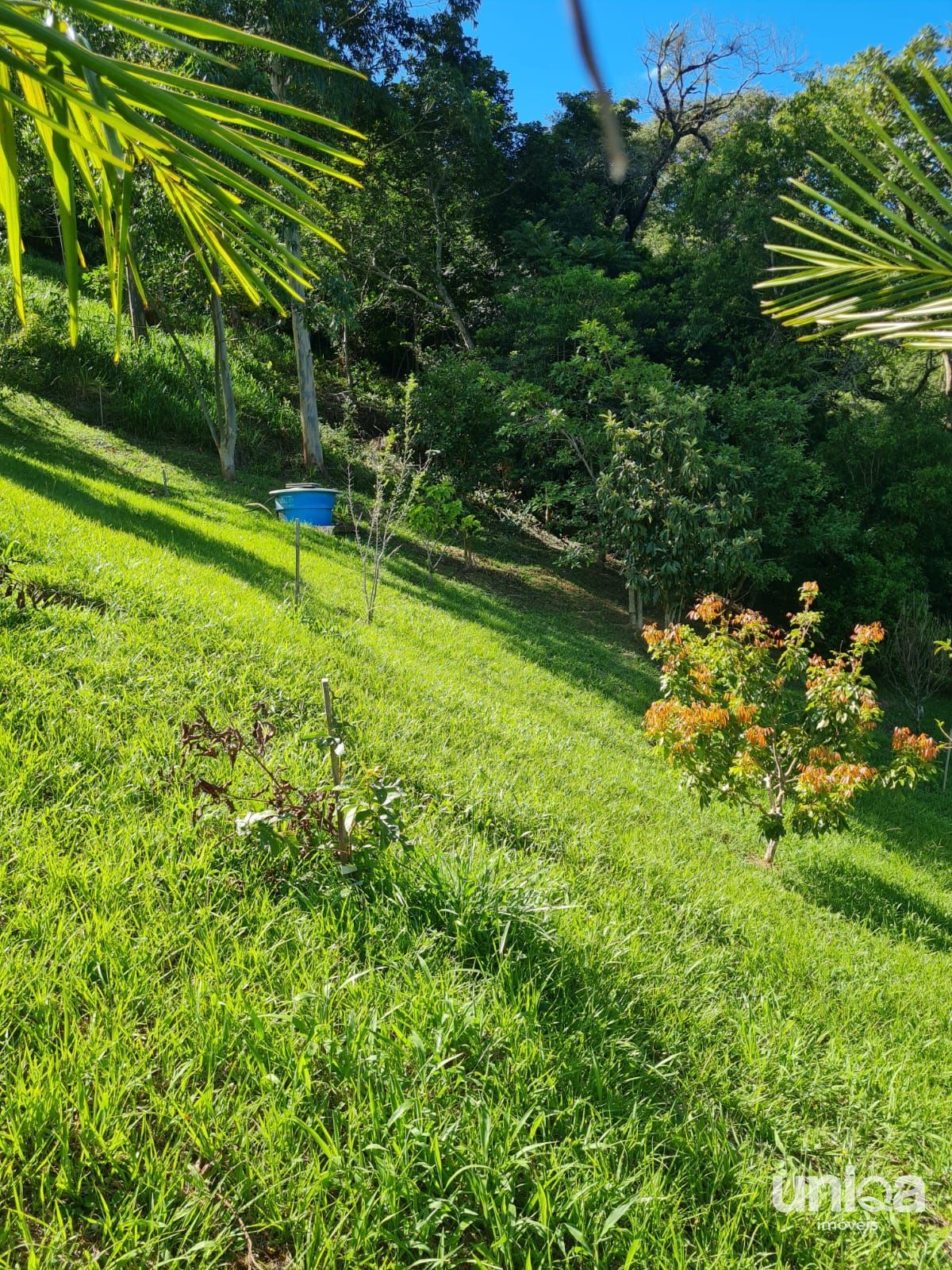 Chácara 2ha escriturada com casa riacho na estrada do radar em Silveira Martins
