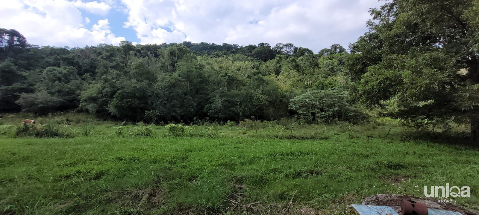 Chácara 23,7ha em Três Barras com divisa para o Rio Arroio Grande para venda - foto 11