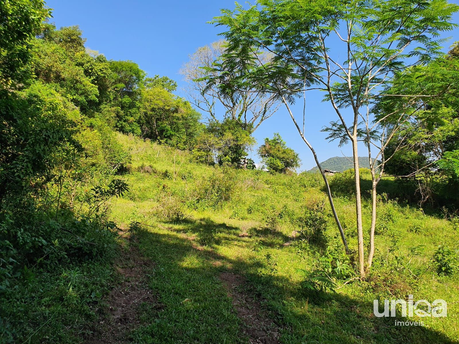 Chácara 23,7ha em Três Barras com divisa para o Rio Arroio Grande para venda - foto 15