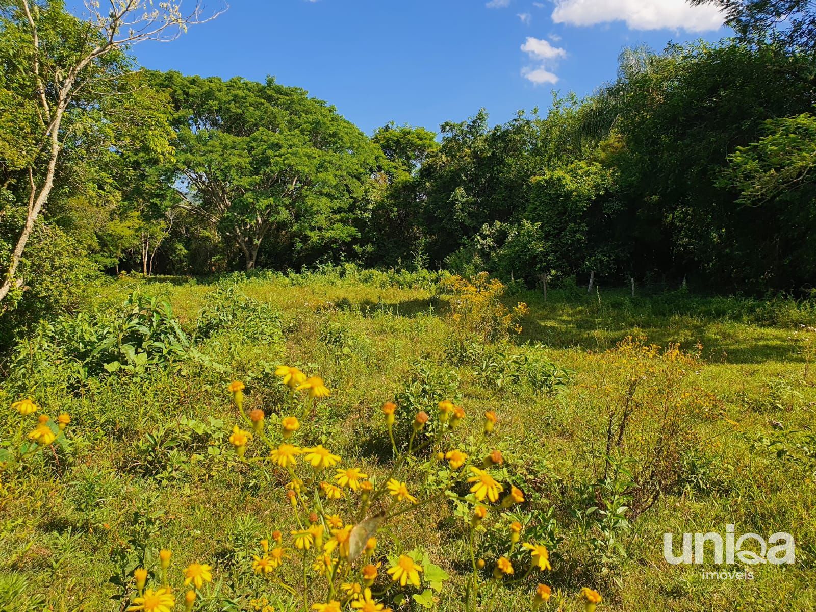 Chácara 23,7ha em Três Barras com divisa para o Rio Arroio Grande para venda