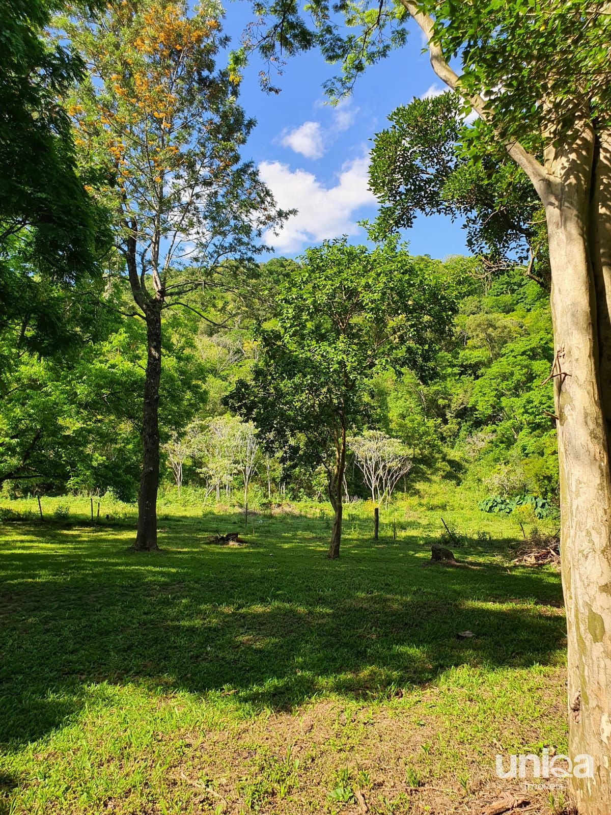 Chácara 23,7ha em Três Barras com divisa para o Rio Arroio Grande para venda - foto 10