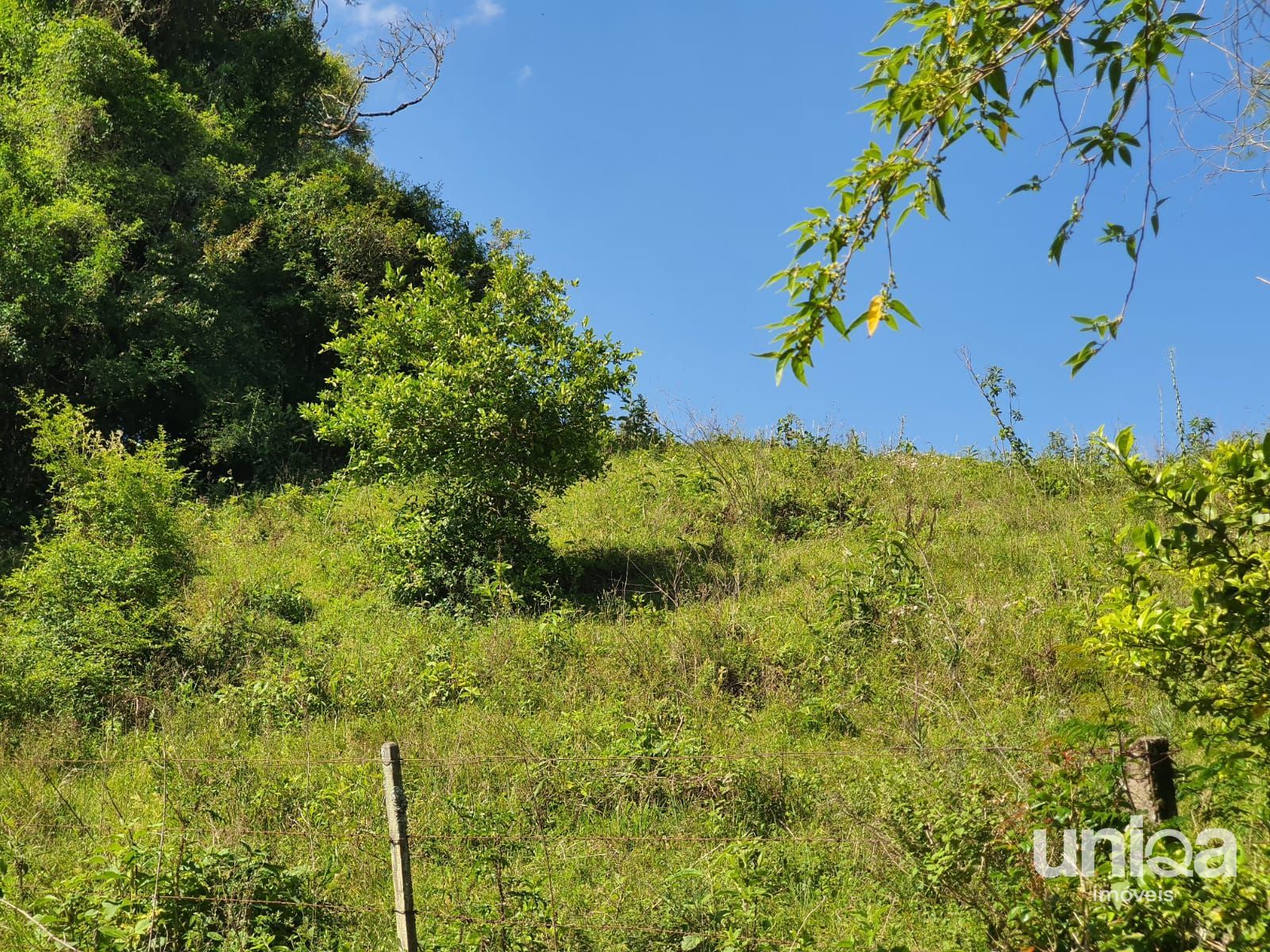 Chácara 23,7ha em Três Barras com divisa para o Rio Arroio Grande para venda - foto 13