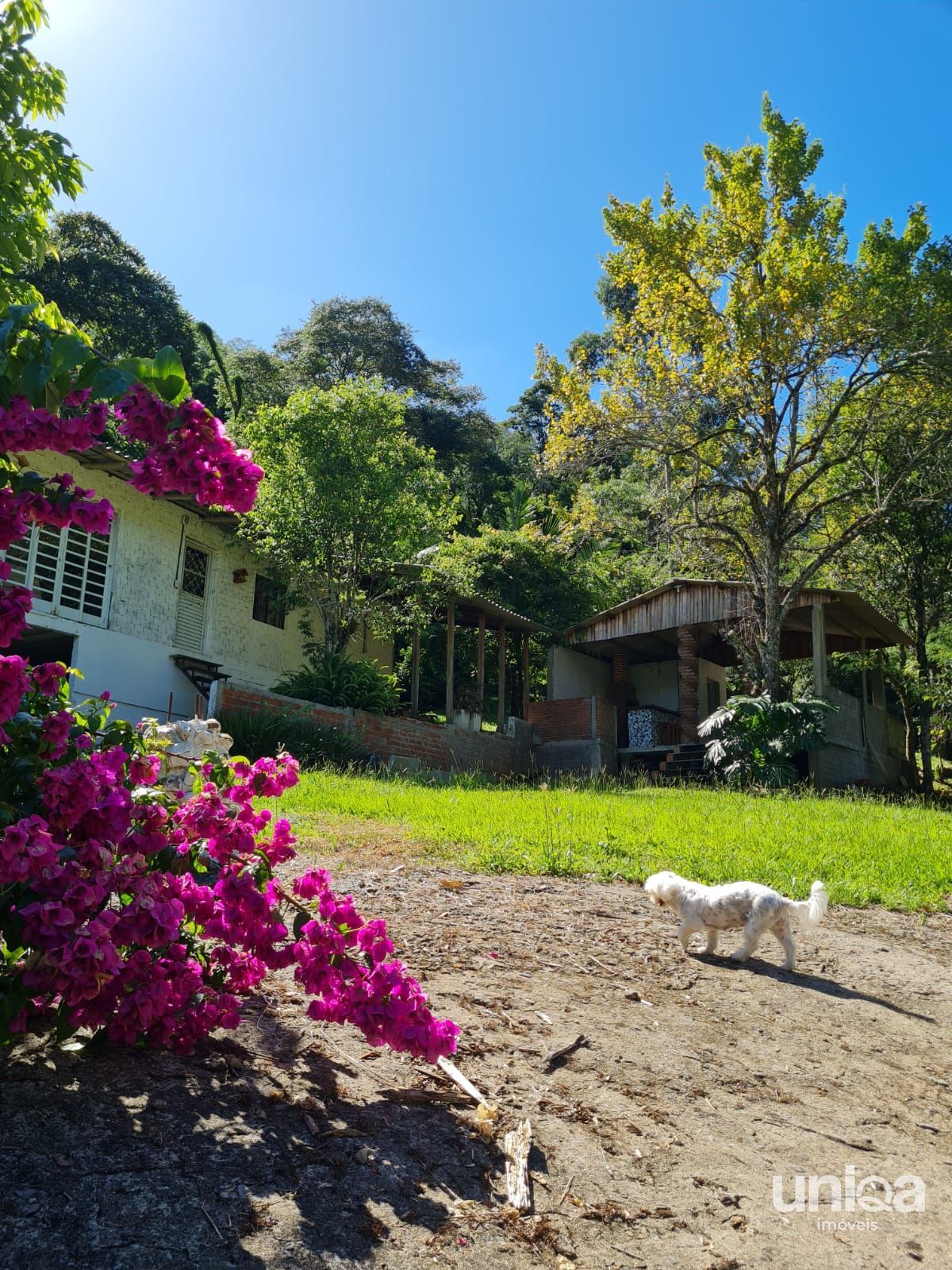 Chácara 2ha escriturada com casa riacho na estrada do radar 
