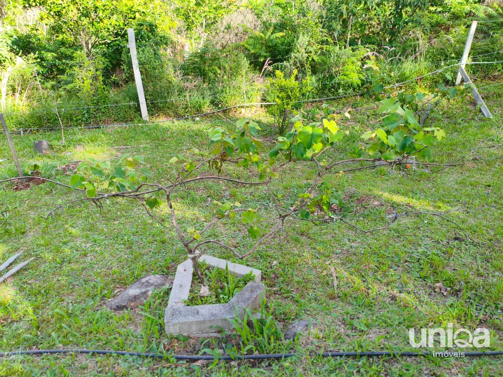 Chácara 2ha escriturada com casa riacho na estrada do radar em Silveira Martins