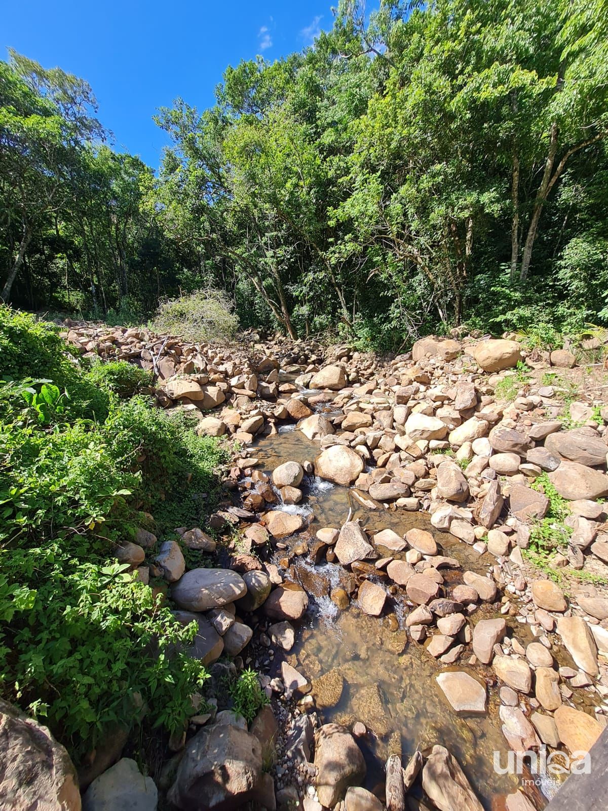 Chácara 2ha escriturada com casa riacho na estrada do radar 