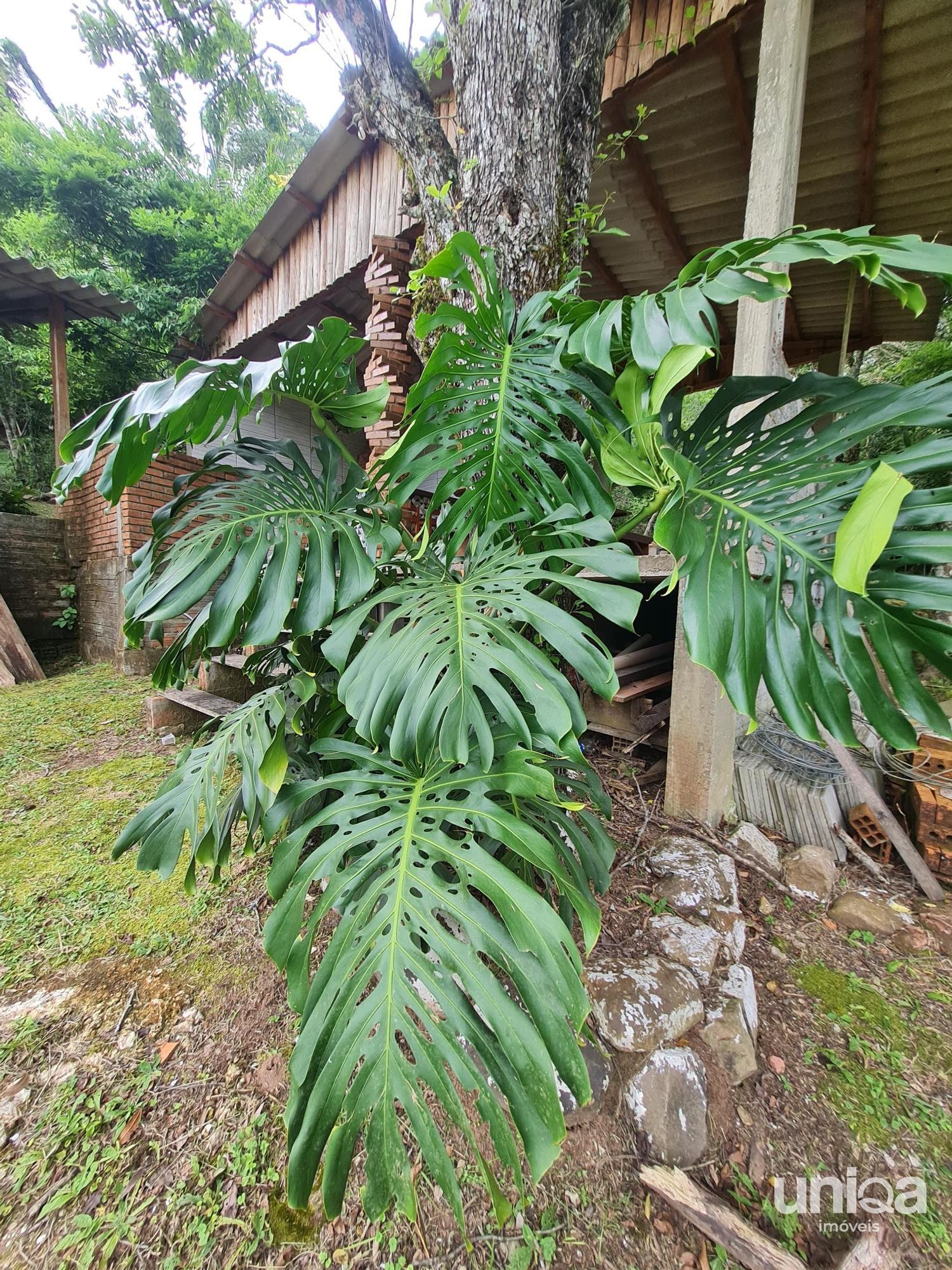 Chácara 2ha escriturada com casa riacho na estrada do radar 