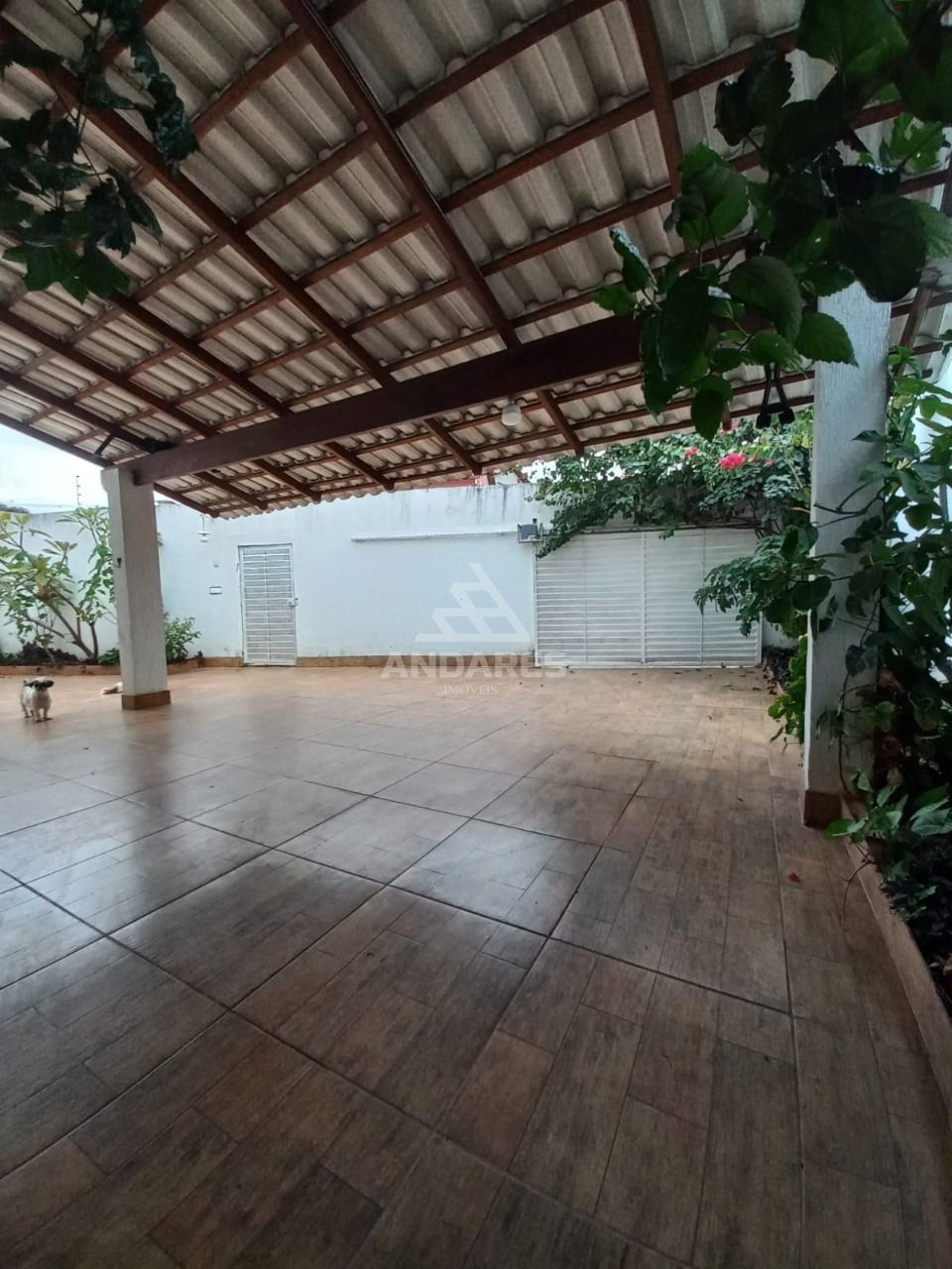 Casa, 3 quartos, 800 m² - Foto 1