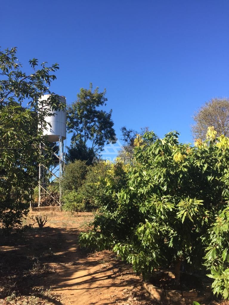 Chácara à venda com 3 quartos, 5000m² - Foto 7