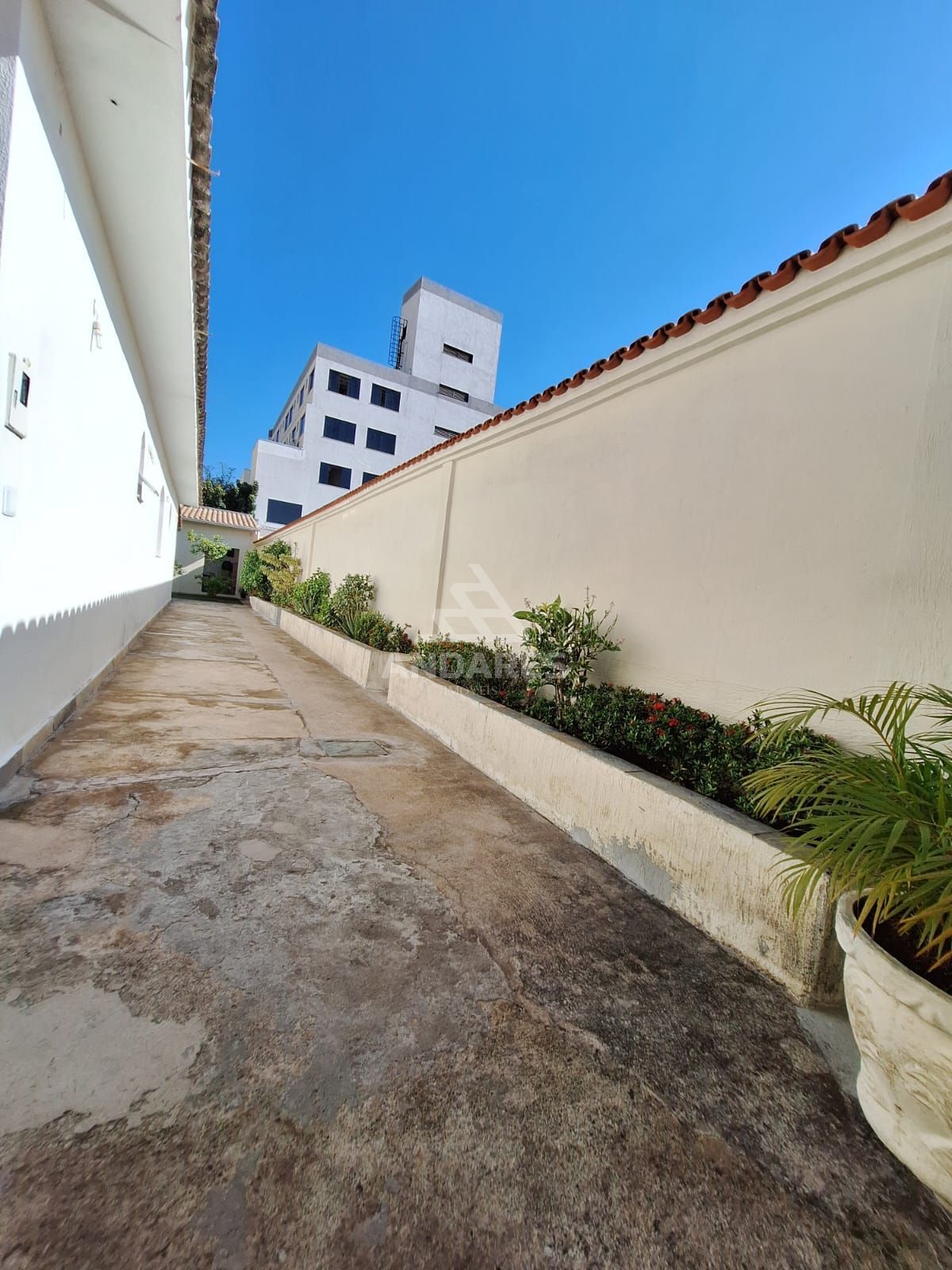 Casa à venda com 2 quartos, 360m² - Foto 7