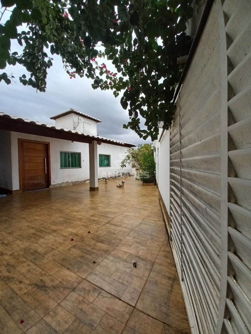 Casa à venda com 3 quartos, 800m² - Foto 5