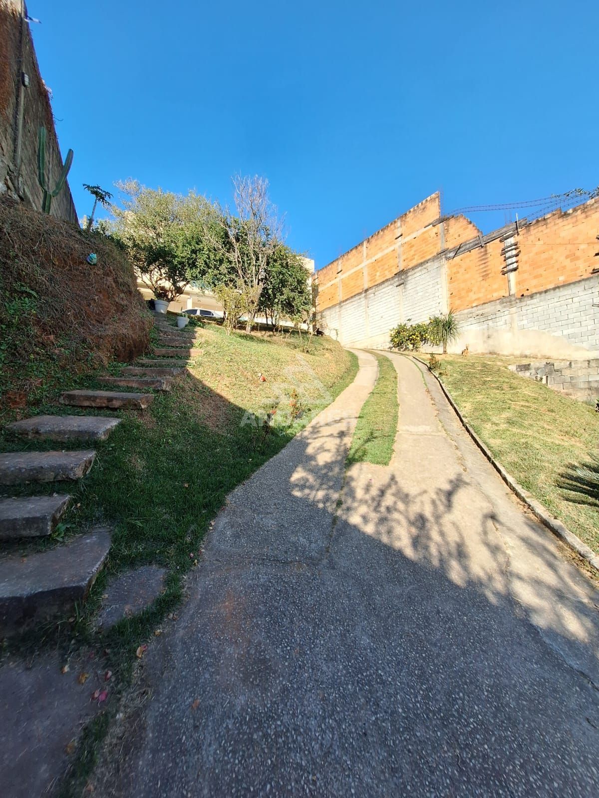 Casa à venda com 3 quartos, 1000m² - Foto 5