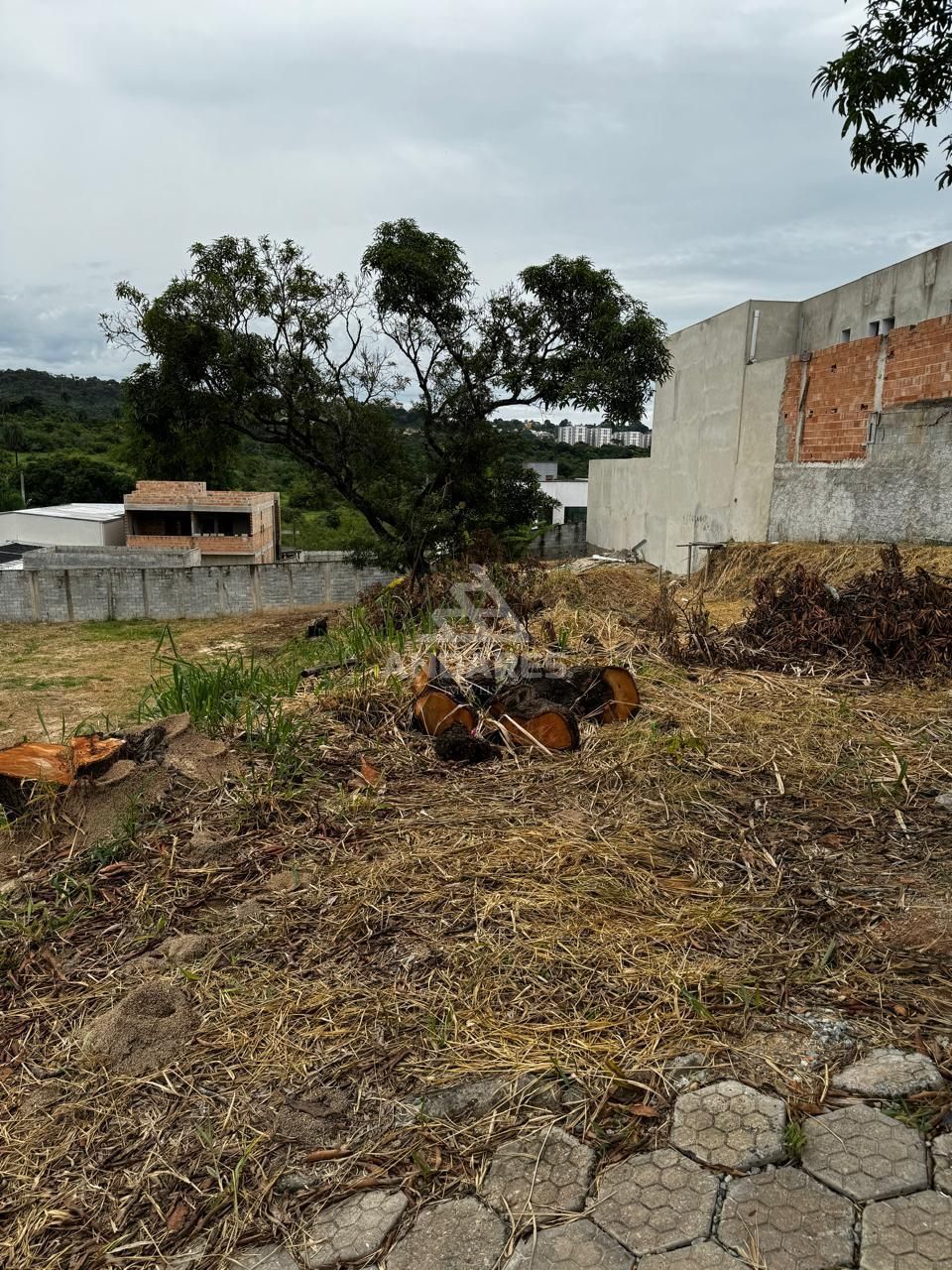 Terreno à venda, 700m² - Foto 3