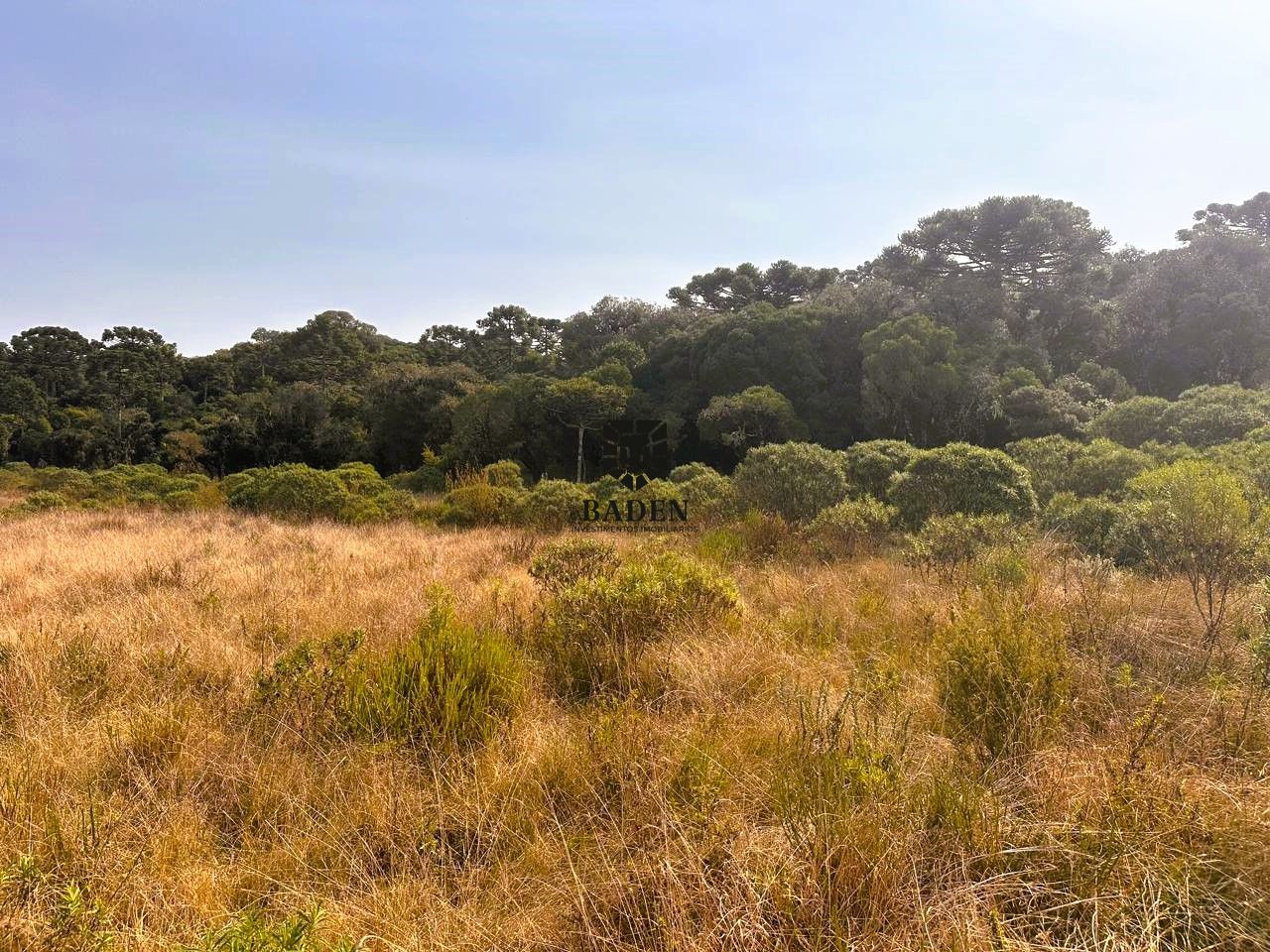 Loteamento e Condomínio à venda, 41000m² - Foto 7