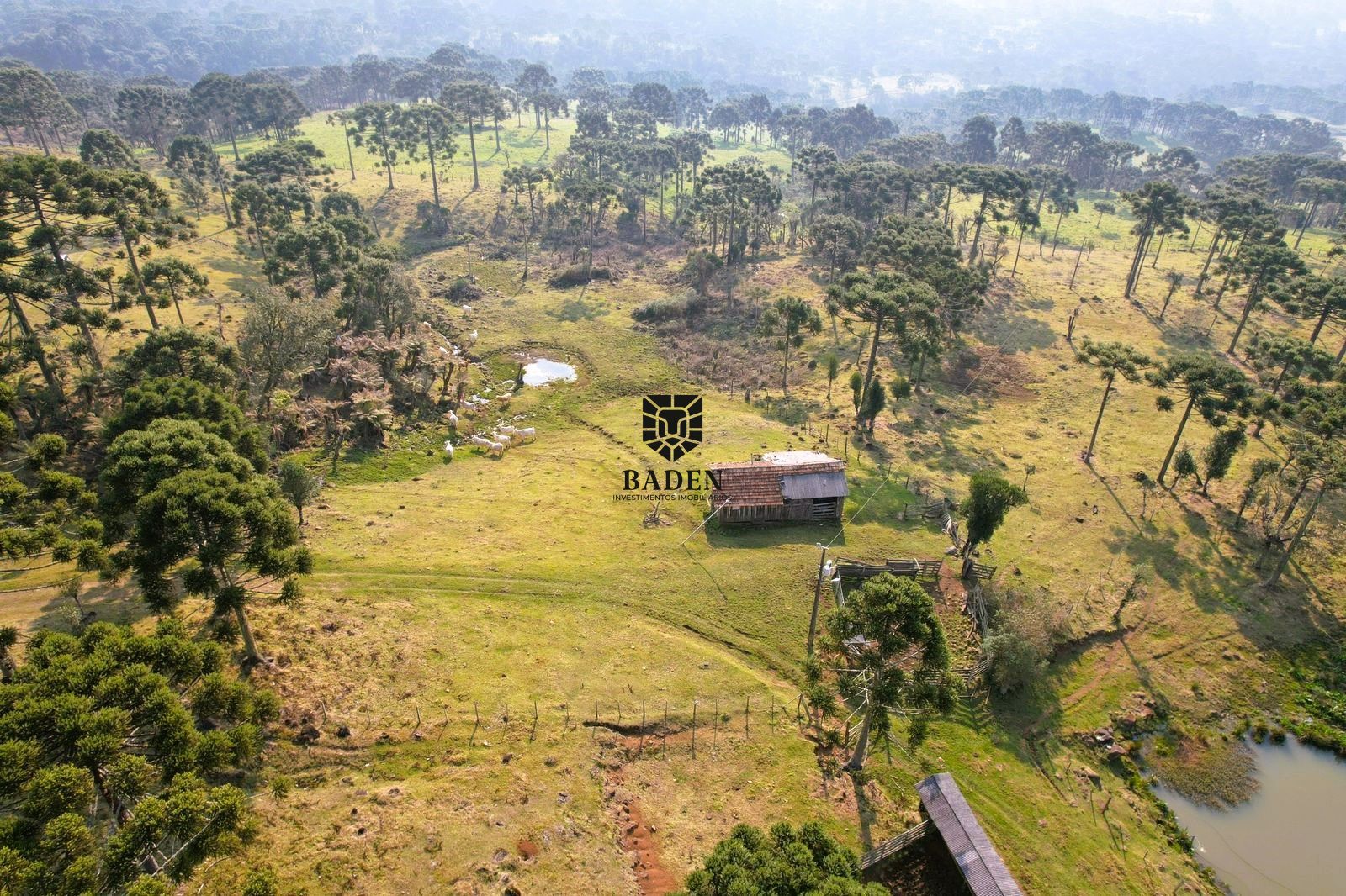 Loteamento e Condomínio à venda, 20000m² - Foto 21