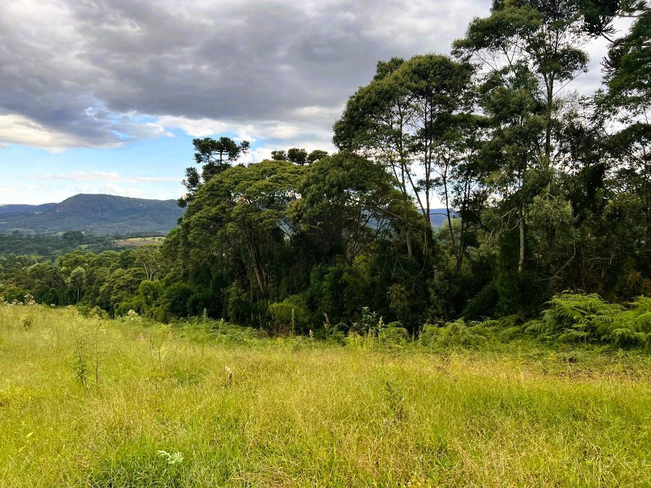 Terreno à venda, 20000m² - Foto 2