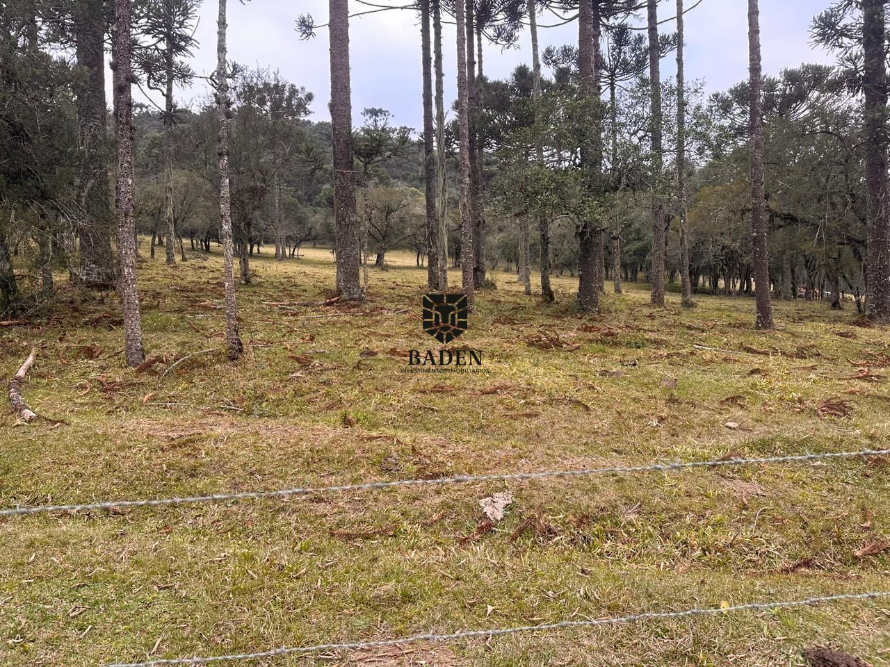 Terreno à venda, 300000m² - Foto 29