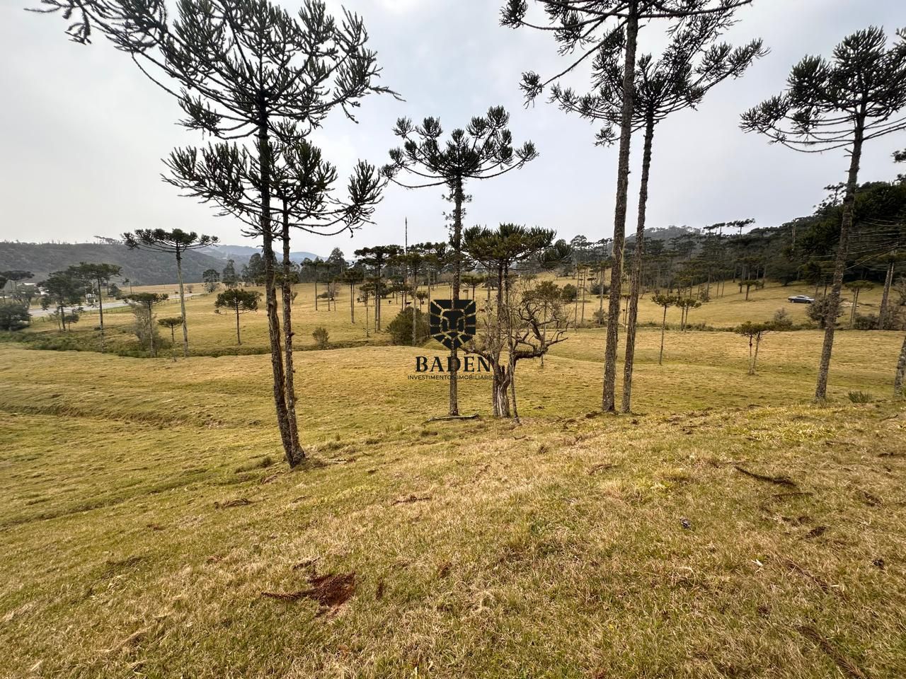 Terreno à venda, 20000m² - Foto 15