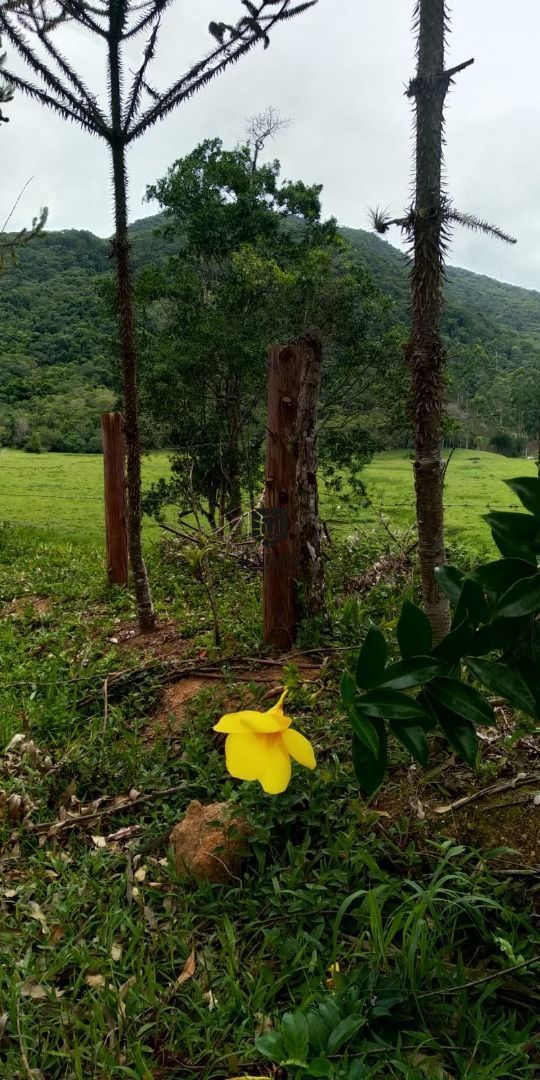 Fazenda à venda, 1050000m² - Foto 5