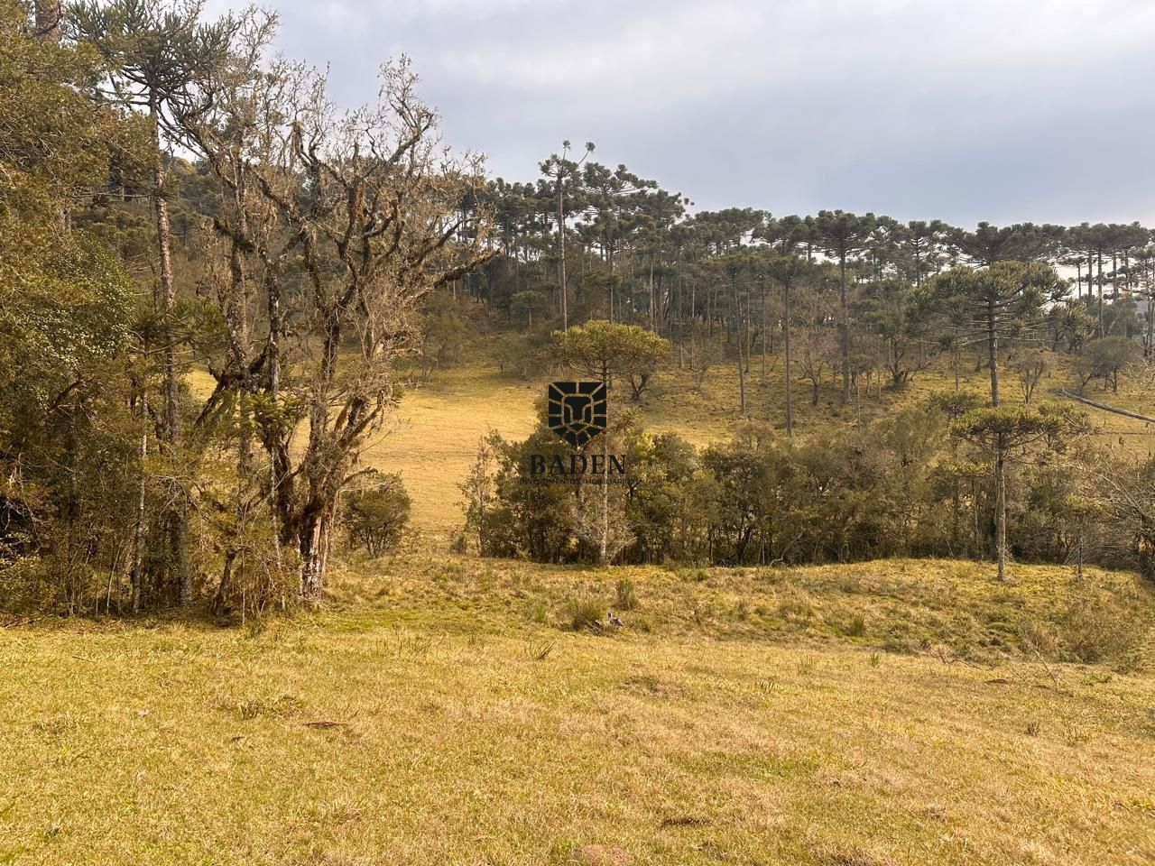 Terreno à venda, 300000m² - Foto 20