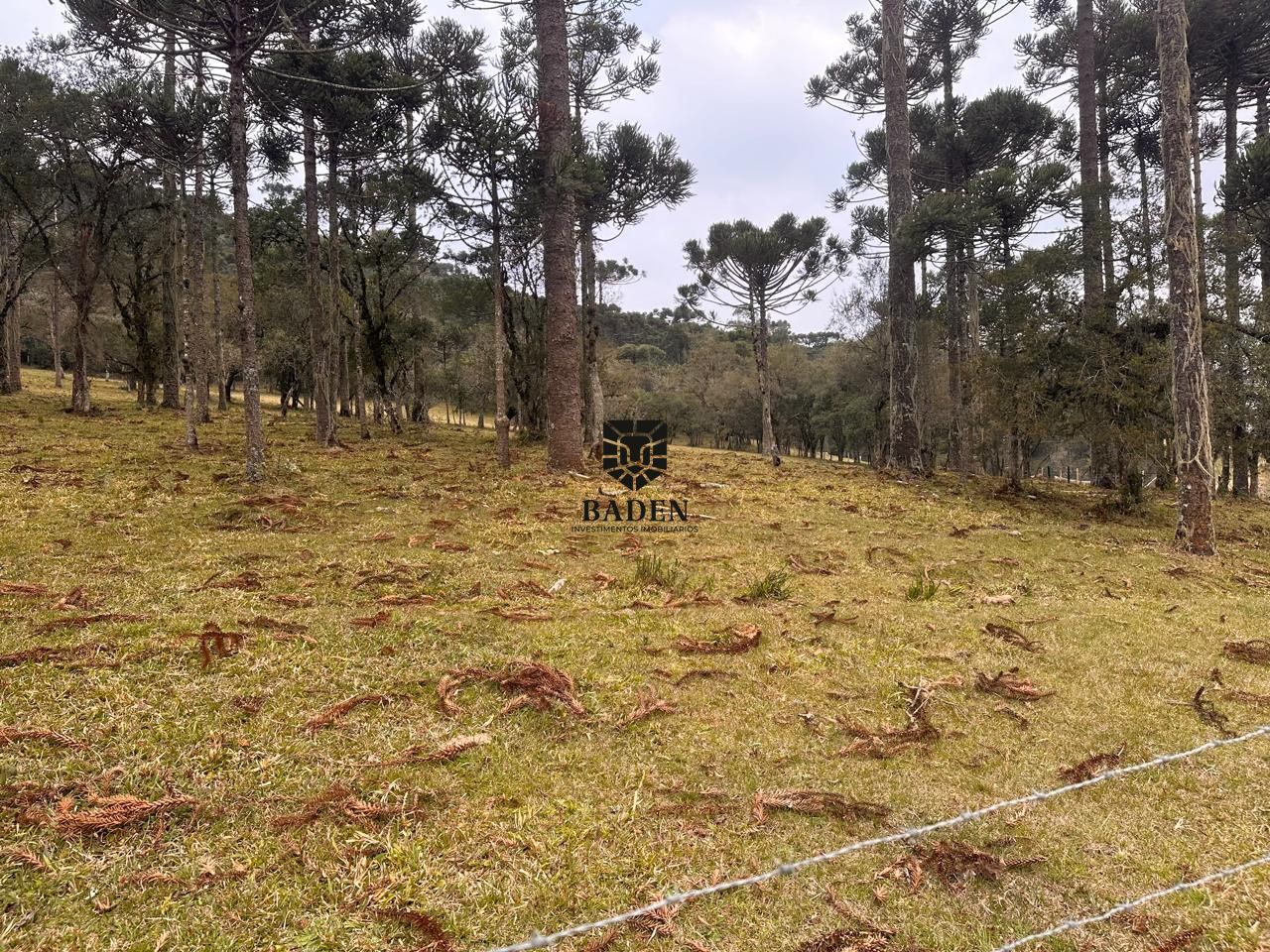 Terreno à venda, 20000m² - Foto 8