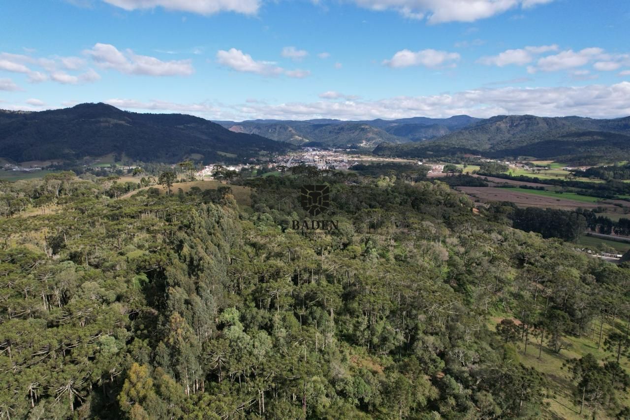 Fazenda à venda com 2 quartos, 3m² - Foto 51