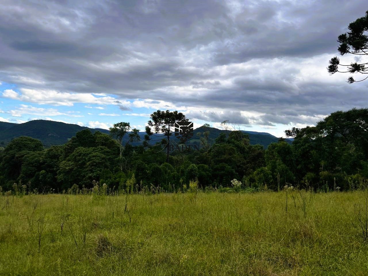 Terreno à venda, 20000m² - Foto 15