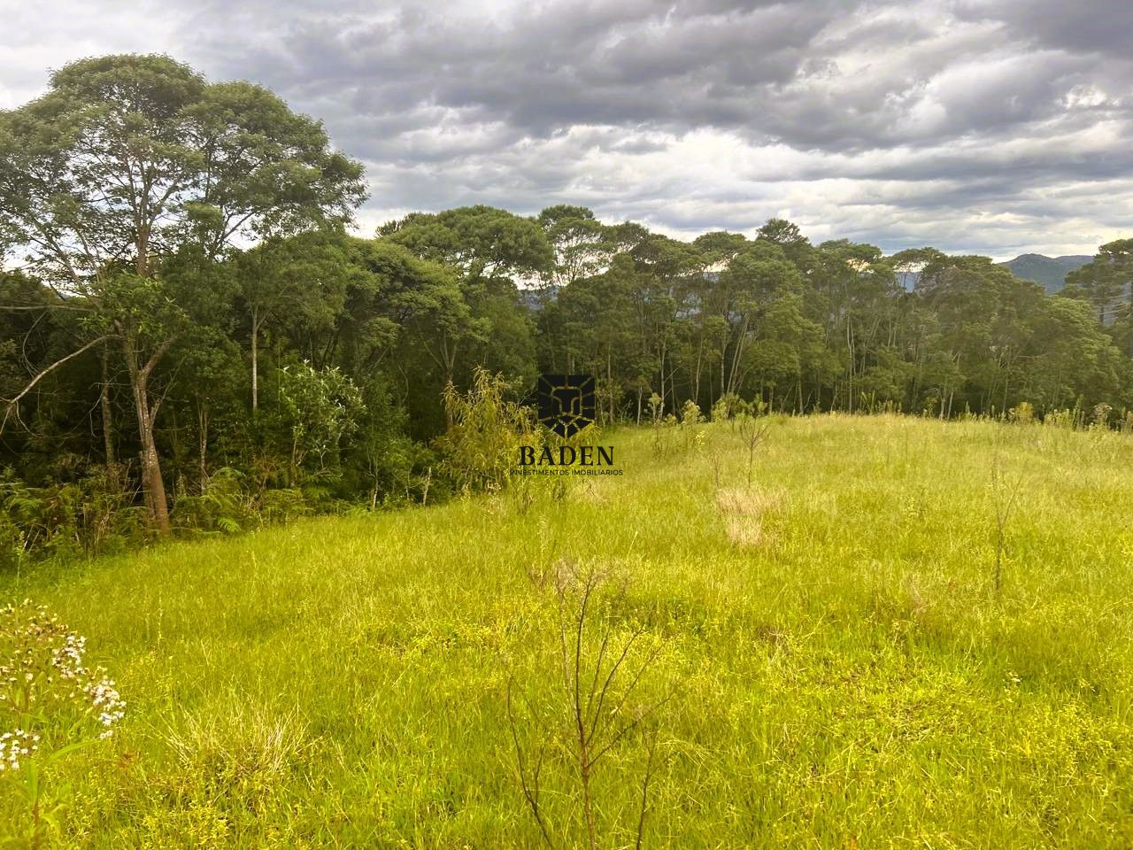 Terreno à venda, 20000m² - Foto 8