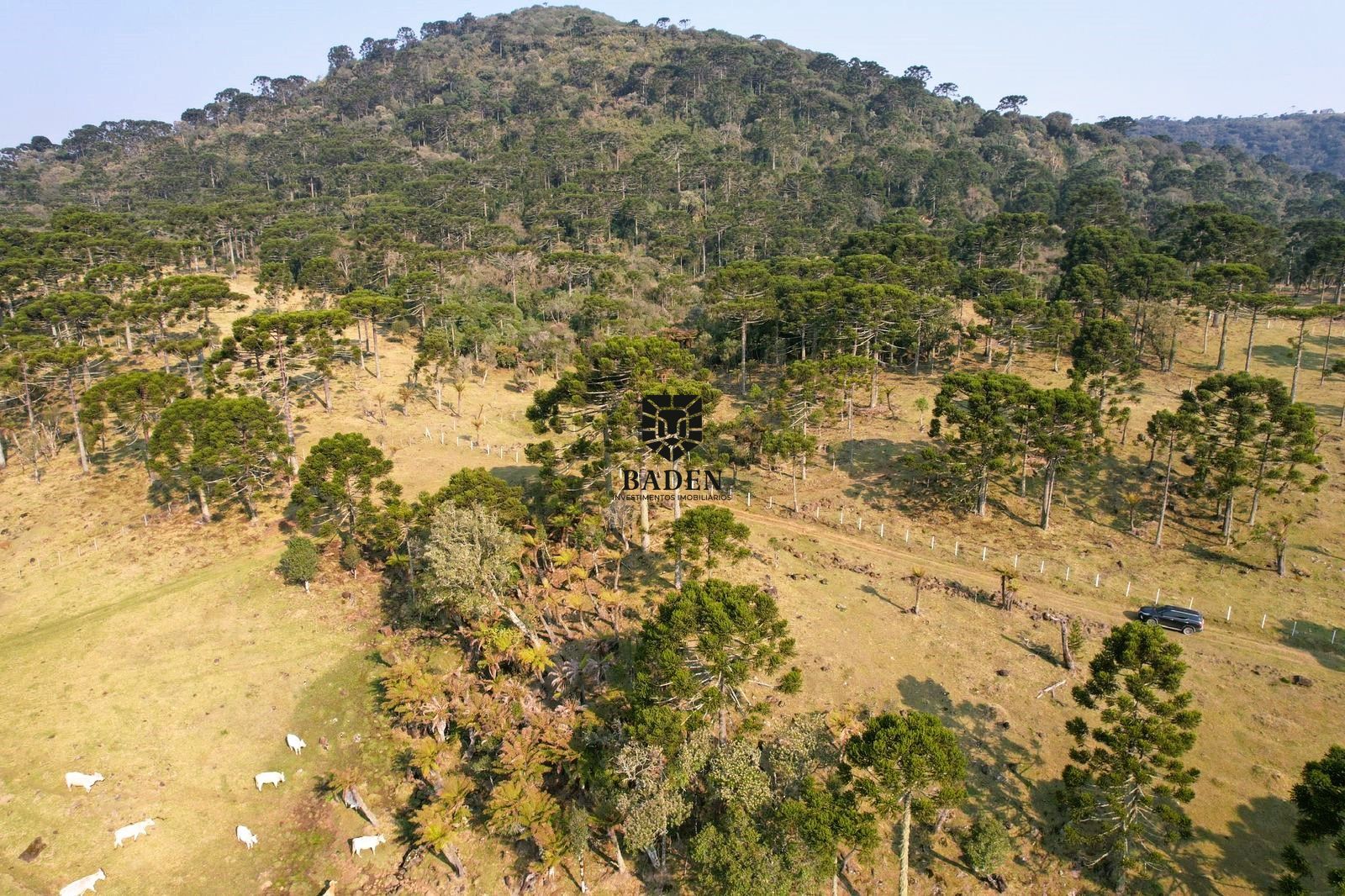 Loteamento e Condomínio à venda, 20000m² - Foto 14