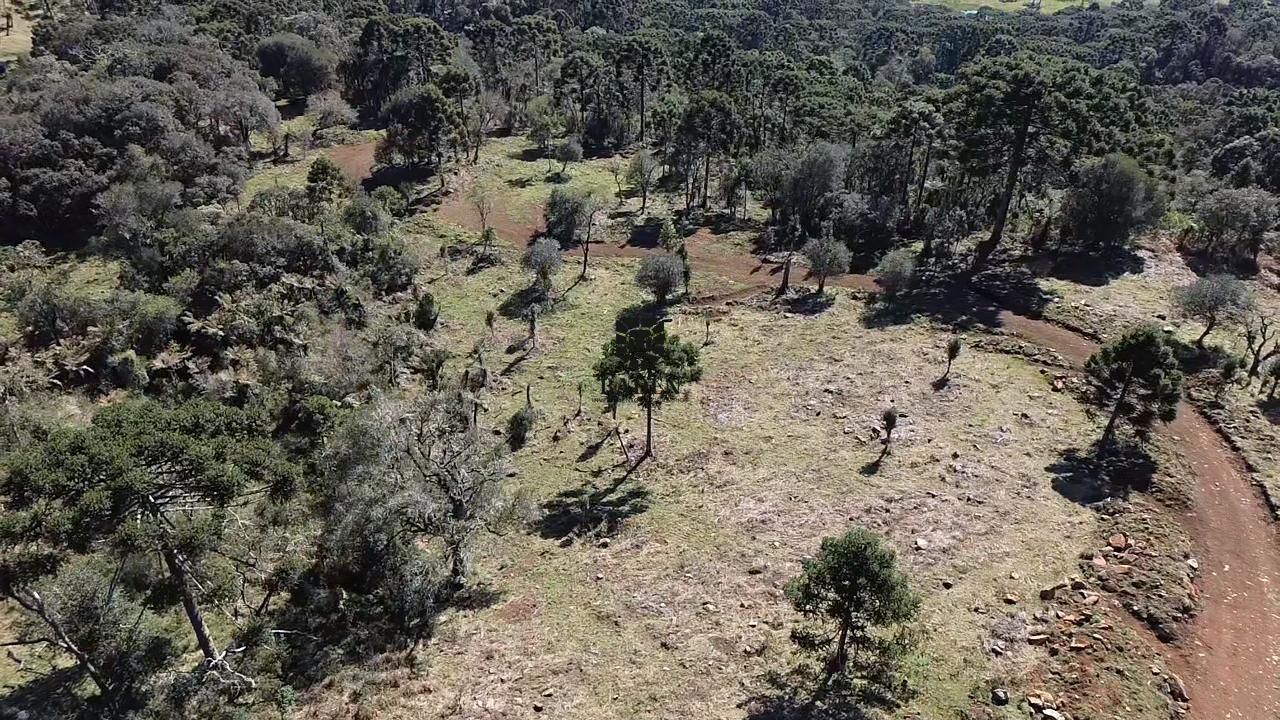 Loteamento e Condomínio à venda, 20000m² - Foto 18