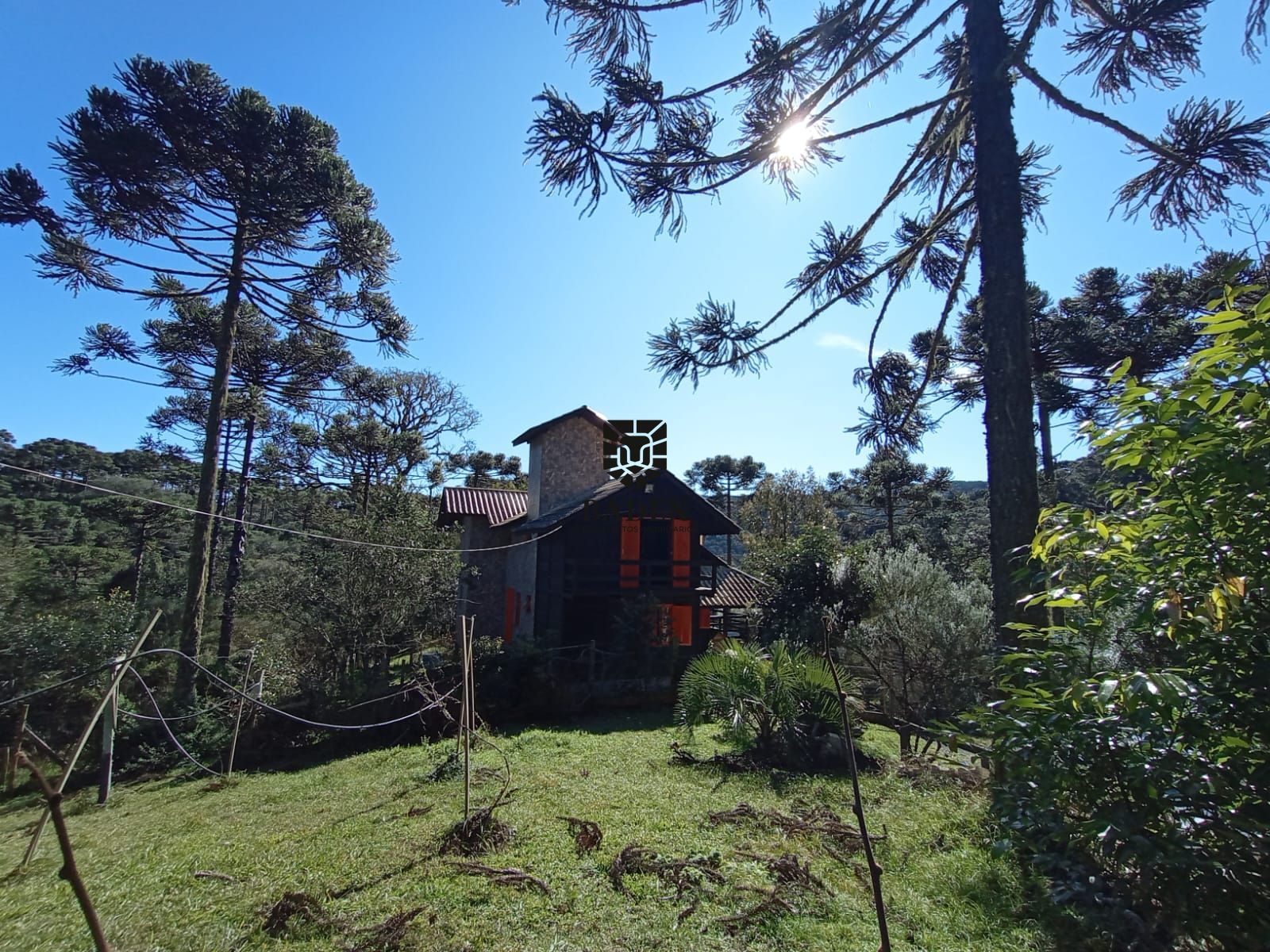 Fazenda à venda com 3 quartos, 5m² - Foto 7