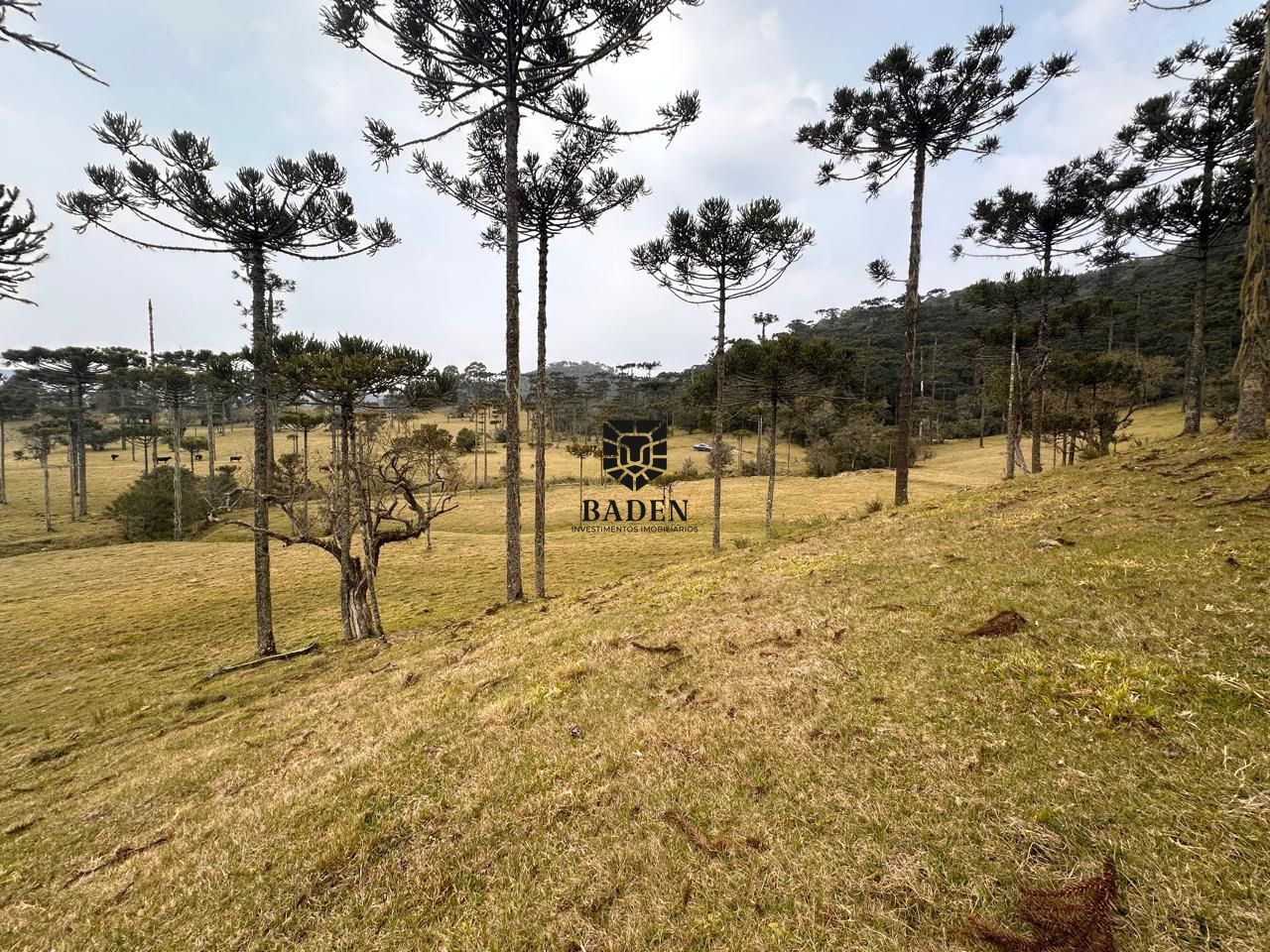 Terreno à venda, 300000m² - Foto 24