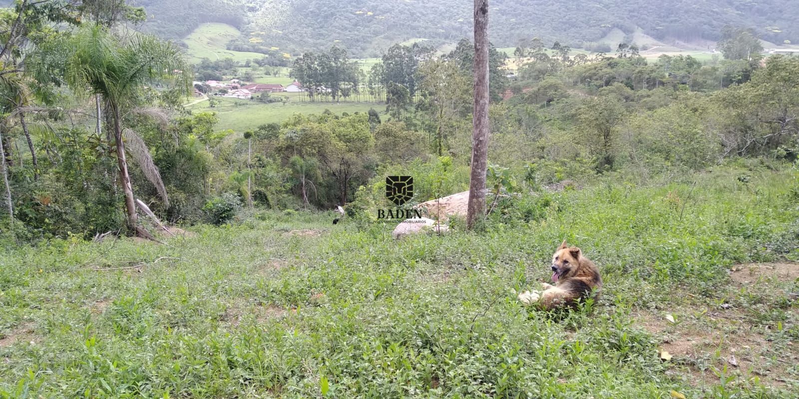 Fazenda à venda, 1050000m² - Foto 2